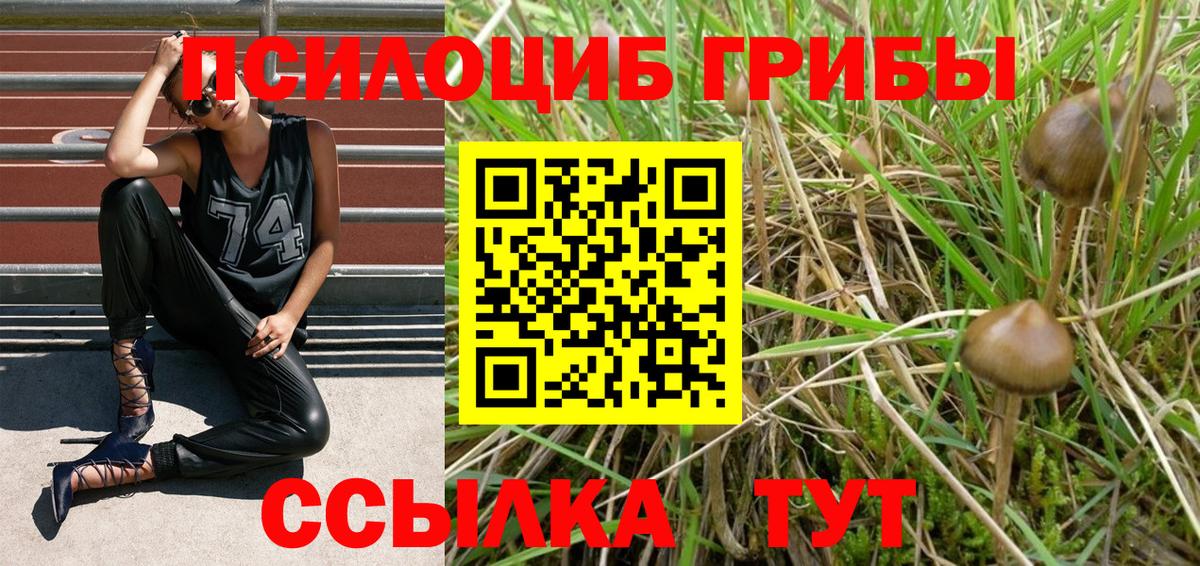 Галлюциногенные грибы ЛСД Серпухов